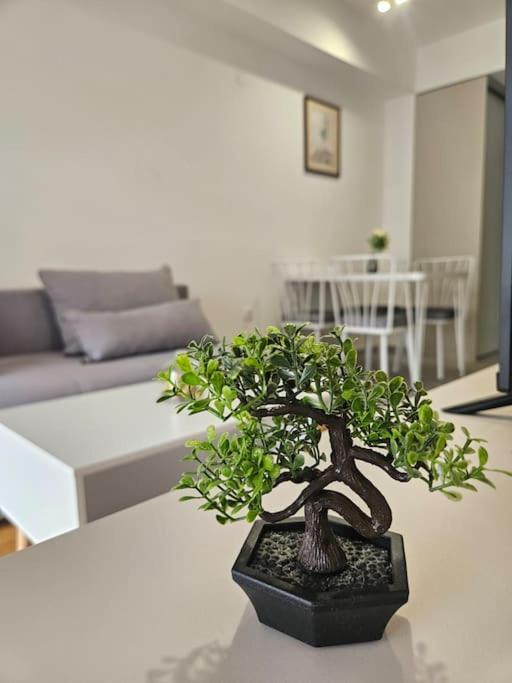 Milo Apartment Скопье Экстерьер фото